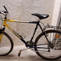 bicicletta mountain bike