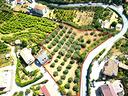 ter-agricolo-a-corigliano-rossano