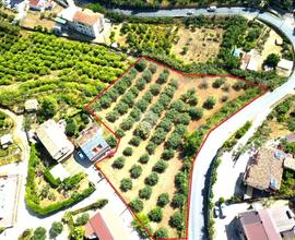 TER. AGRICOLO A CORIGLIANO-ROSSANO
