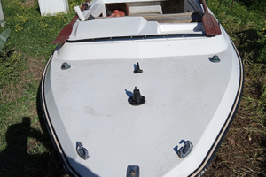 Barca metri 4.80 con animali