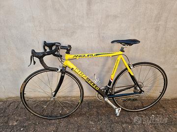Bici da corsa