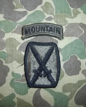 Us Army 10th Mountain Division subdued Patch