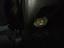 Immagine 19