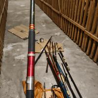 canna bolognese vintage