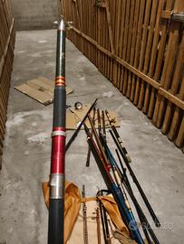 canna bolognese vintage