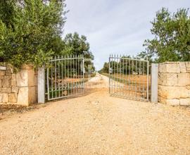 Trullo - Carovigno