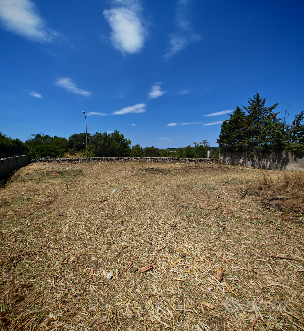 Statte - terreno edificabile di 700 mq - Vista 5
