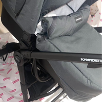 Passeggino froppapedretti