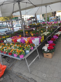 Licenza ambulante posto fisso sett non alimentari