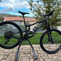 Santa cruz nomad C