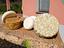 Immagine 22