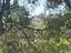 Immagine 28