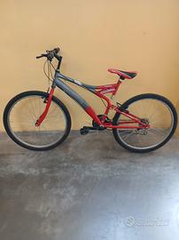 bicicletta 