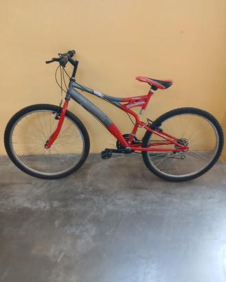 bicicletta 