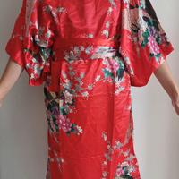 Kimono (Festival dell'Oriente)