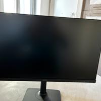 Schermo MSI - Modern MD241 Series