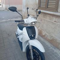scarabeo piaggio 2018