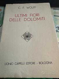 Ultimi fiori delle Dolomiti
