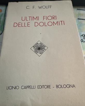 Ultimi fiori delle Dolomiti