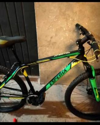 Bicicletta