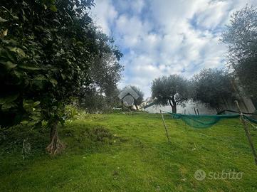 TER. AGRICOLO A LETTERE