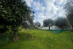 TER. AGRICOLO A LETTERE