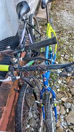 2 Biciclette usate