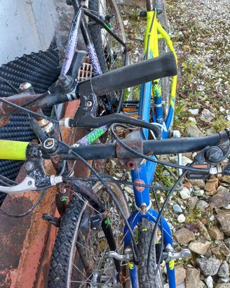 2 Biciclette usate