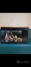 acquario completo 60 litri