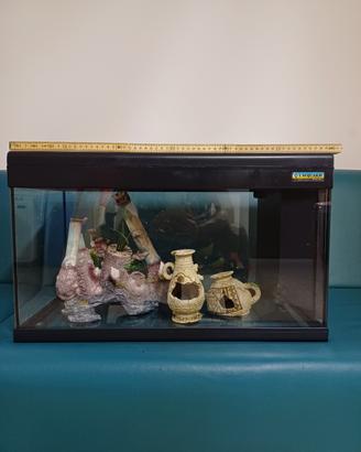 acquario completo 60 litri