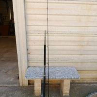 Combo spinning mare Daiwa BG 6500 e Penn Regiment