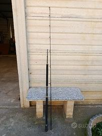 Combo spinning mare Daiwa BG 6500 e Penn Regiment