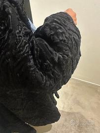 Cappotto di persiano