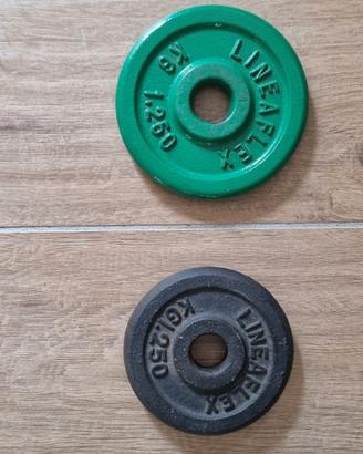 pesi per palestra