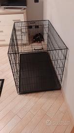 Gabbia per cani