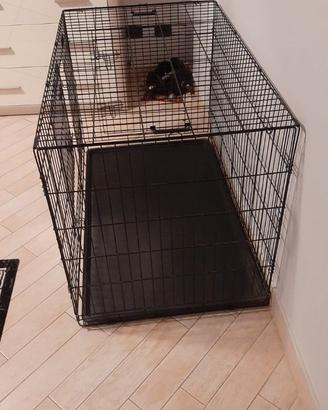 Gabbia per cani