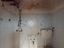 Immagine 29