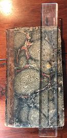 Le notti romane al sepolcro degli Scipioni