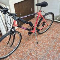 Bicicletta Mountain-Bike