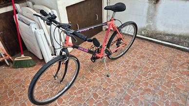 Bicicletta Mountain-Bike