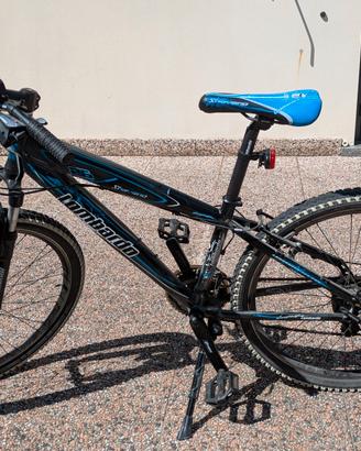 Bici ragazzo 9-12 anni