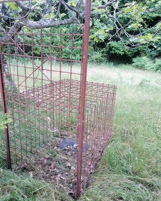 gabbia per grandi animali 