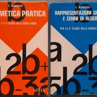 Minaudo Aritmetica Pratica + Rappresent. Grafiche