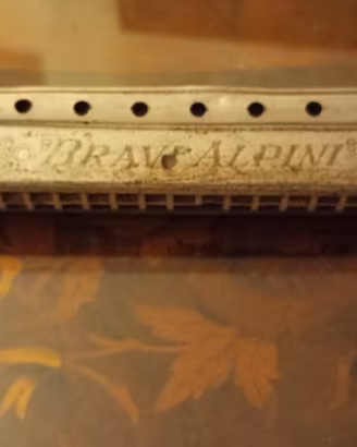 Armonica a bocca M HOHNER BRAVI ALPINI