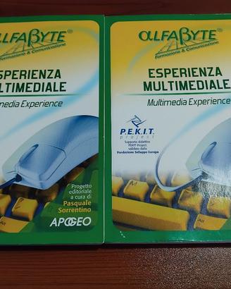 2 libri di informatica