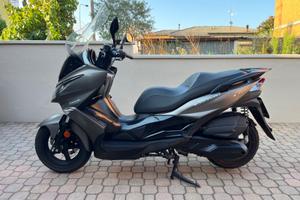 Kawasaki j300