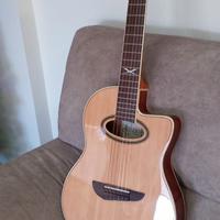 chitarra eko amplificata