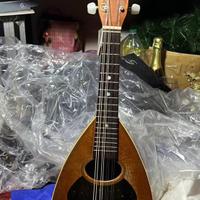 Strumenti musicali Mandolino