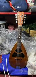 Strumenti musicali Mandolino