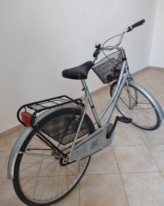 Bici da passeggio 